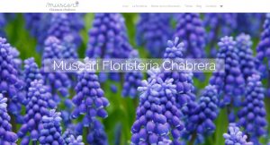 Nueva web Muscari Floristería Chabrera