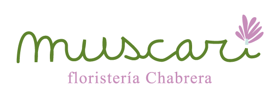 Muscari Floristería Chabrera