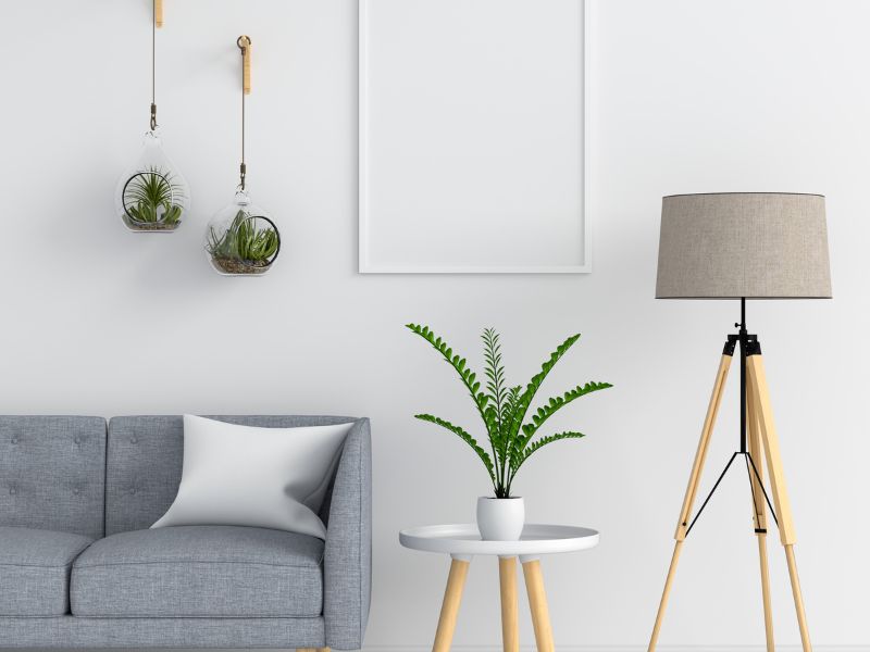 flores-decorar-casa-castellon-hogar-plantas Flores Castellón Dia de la Madre